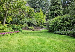 Optimiser l'expérience du jardin à Pruzilly